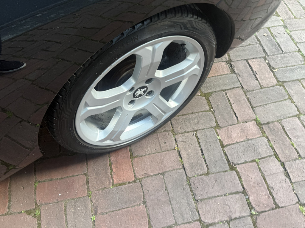 44297065-107.jpg
